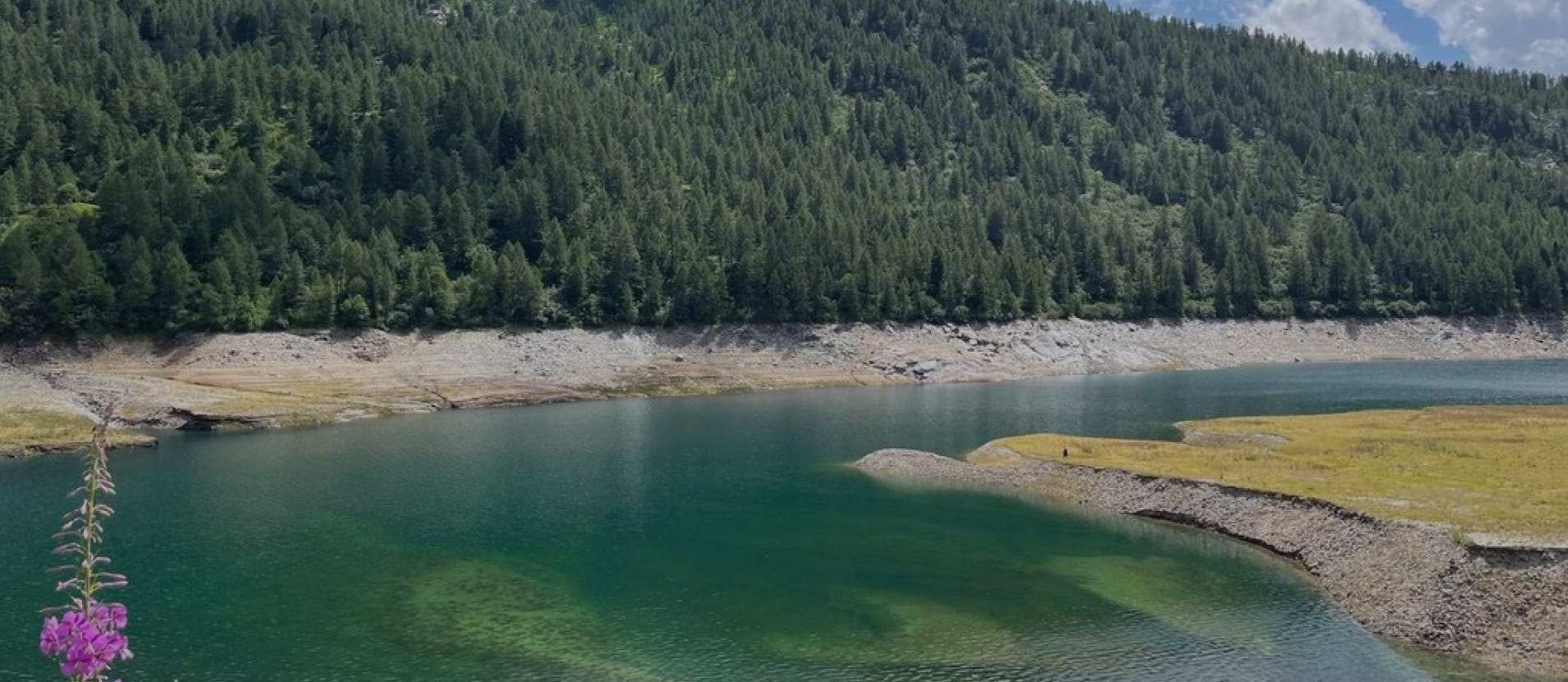freshwater fishing